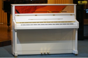 Mang tâm hồn nghệ thuật hội hoạ vào piano với Samick J310B