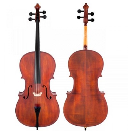 OUTFIT violin 4/4 GALLIARD