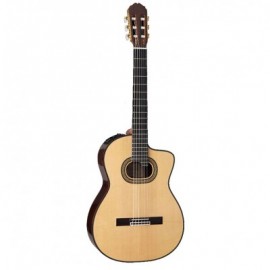 Takamine TH90