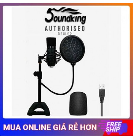 Soundking CMS-1