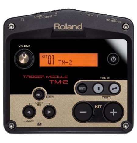 ROLAND TM-2