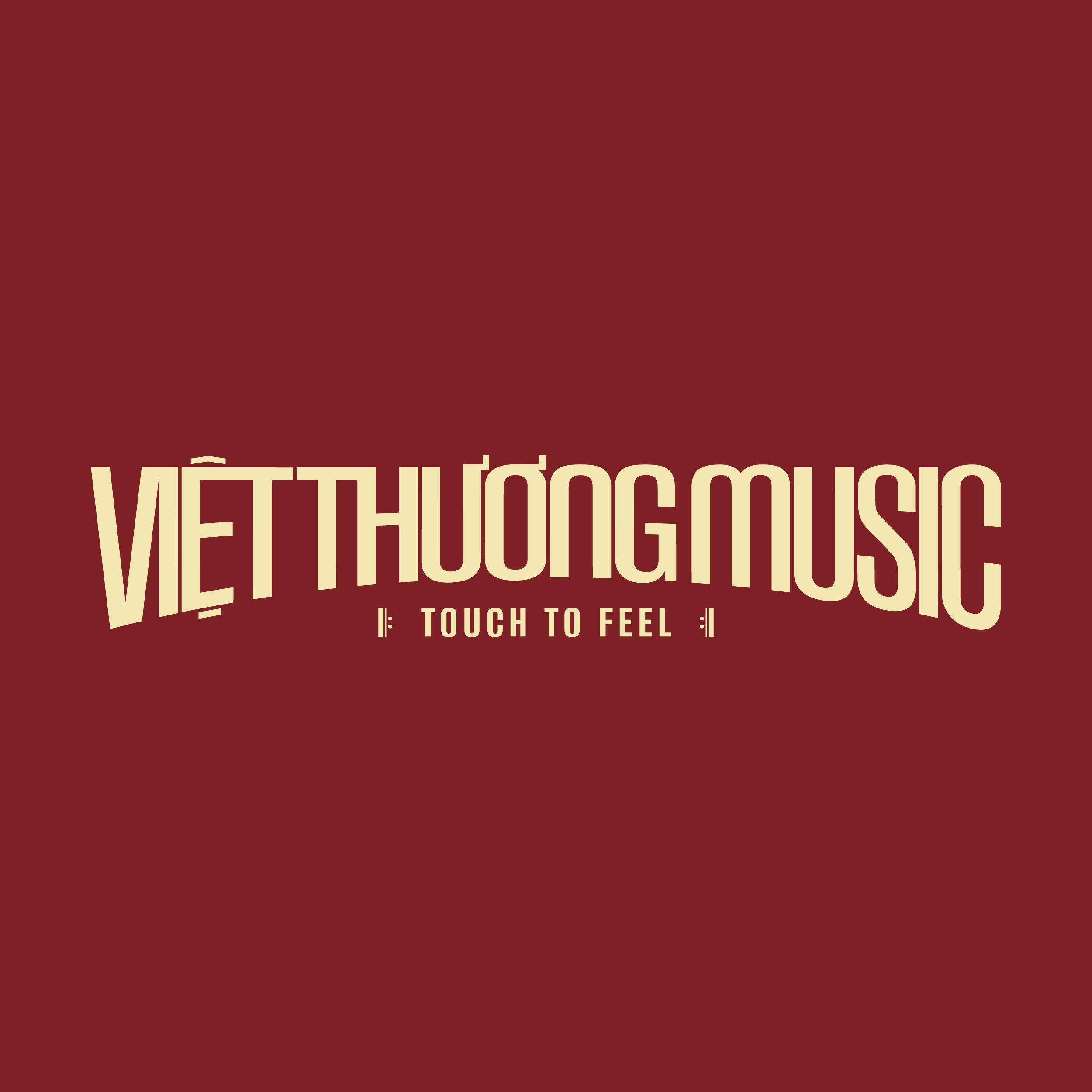 vietthuong.vn Icon