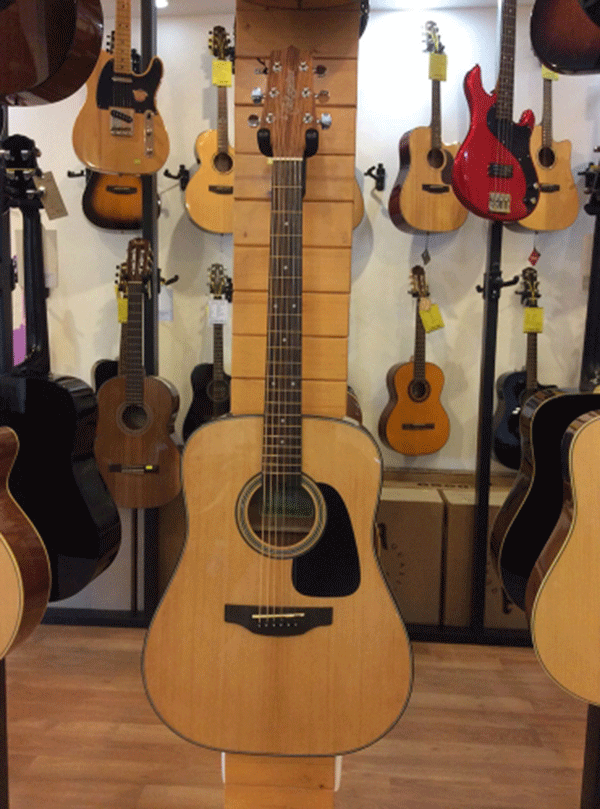 TAKAMINE D2D NAT