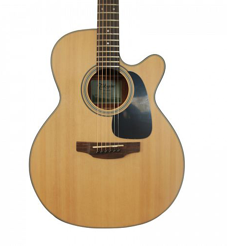 TAKAMINE ED1NC