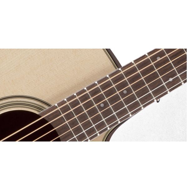 TAKAMINE P2DC