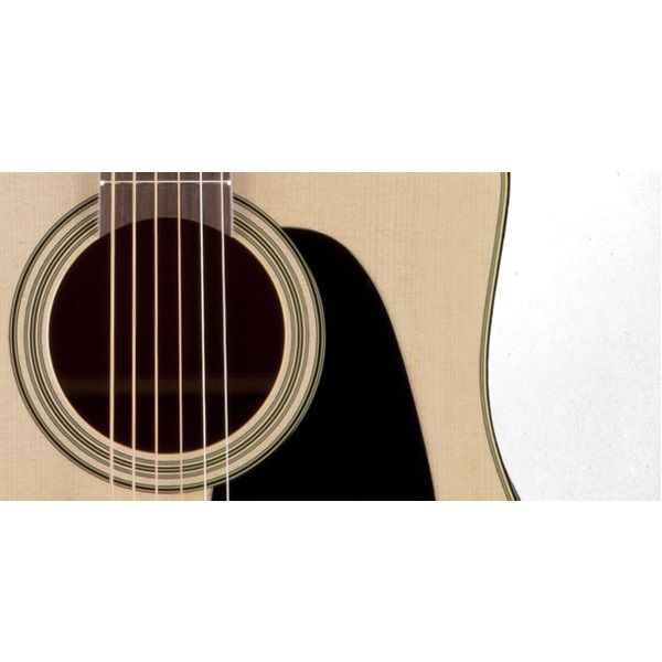 TAKAMINE P3DC