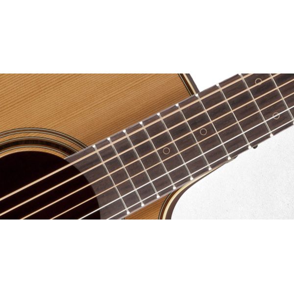 TAKAMINE P3DC