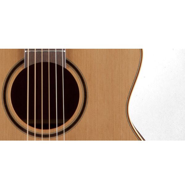 TAKAMINE P3MC