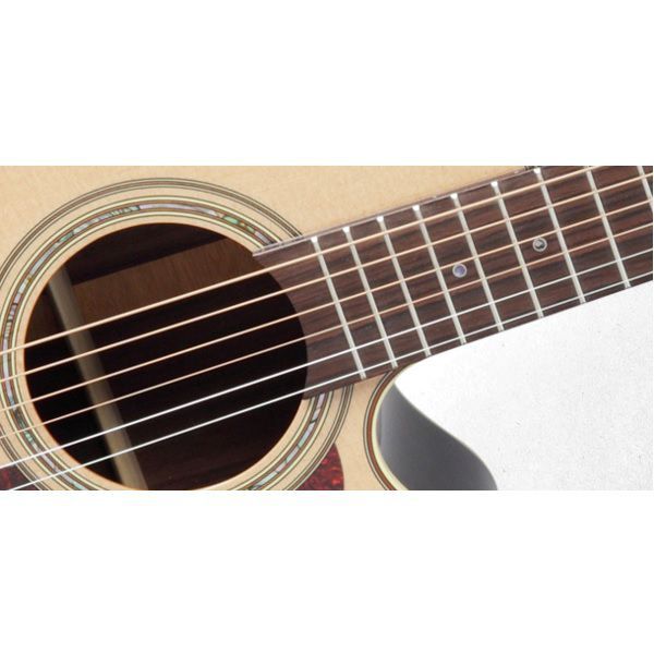 TAKAMINE P5NC