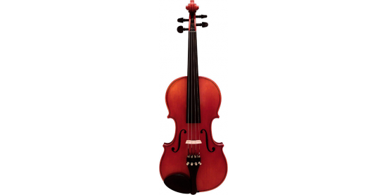 huong-dan-chon-mua-dan-violin 3