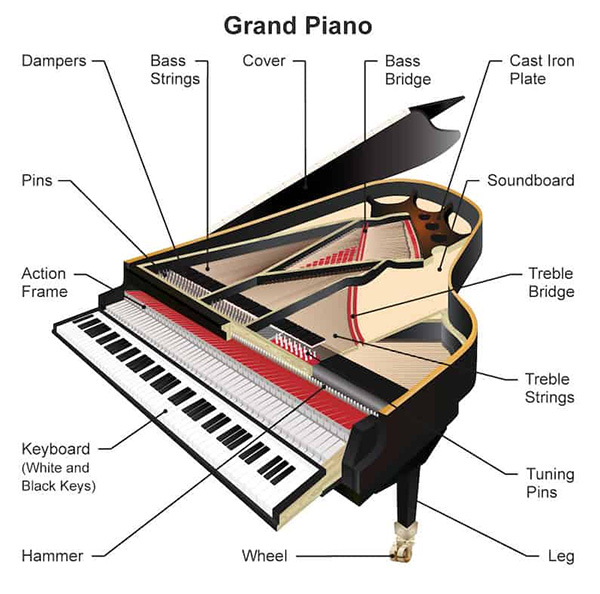 Cấu tạo của một cây đàn piano cơ