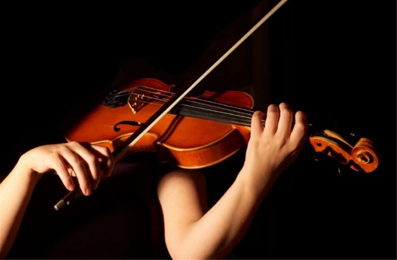 Người mới bắt đầu học đàn Violin nên làm những gì?
