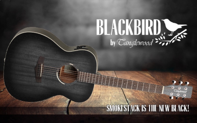 Tanglewood Blackbird series mới đã có mặt tại Việt Nam