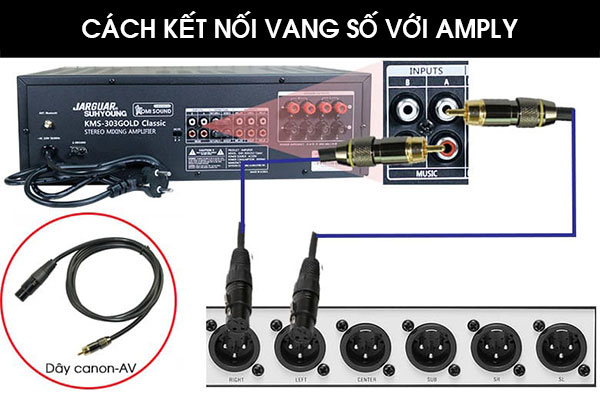 Kết nối vang số với amply như thế nào?