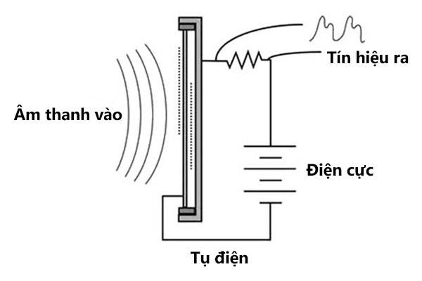 Micro condenser 