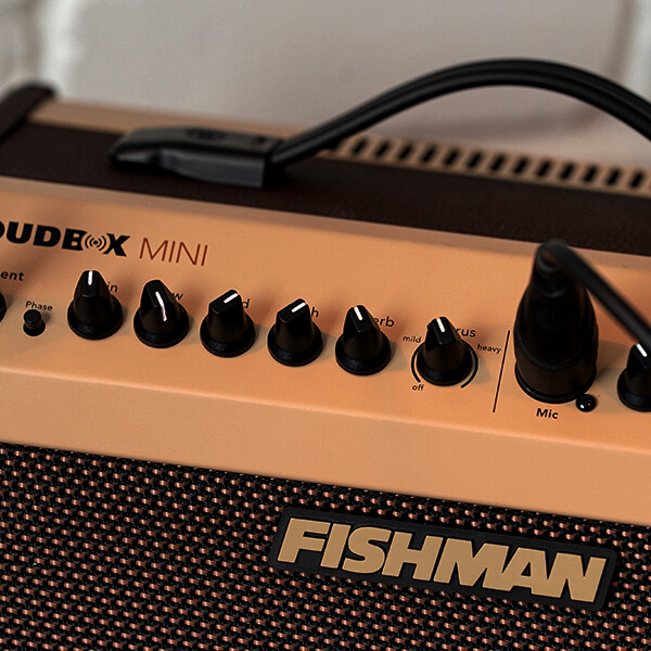 amplifier-fishman-loudbox-mini-60-gioi-thieu