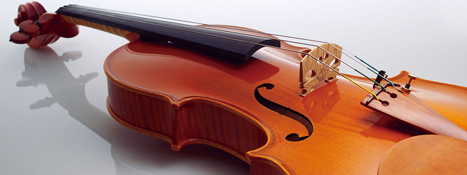 thue-dan-violin