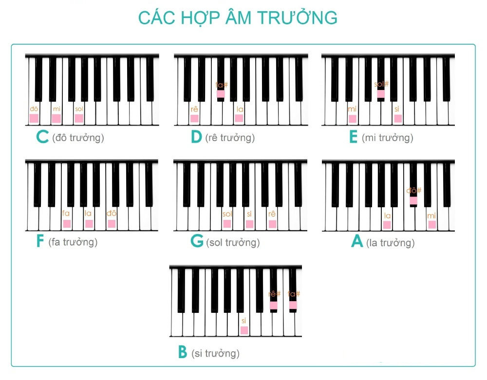 cac-hop-am-piano-co-ban-danh-cho-nguoi-moi-hoc 2