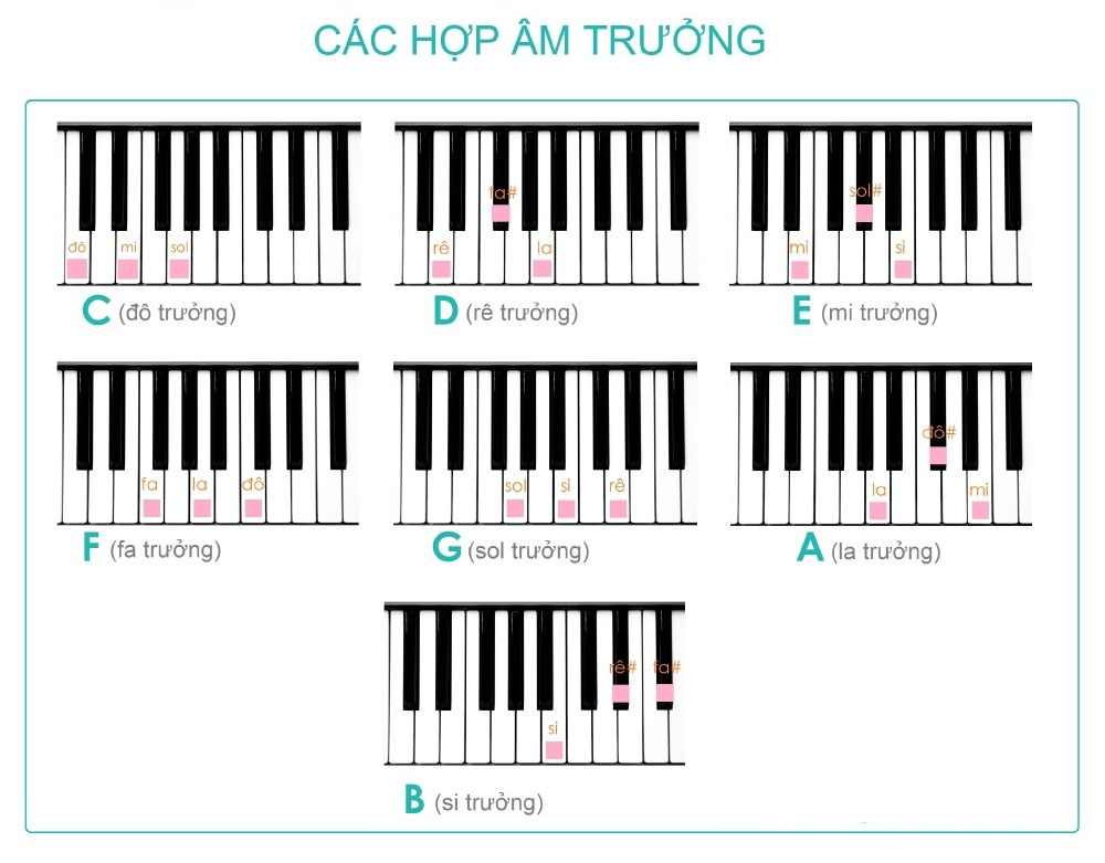 4. Hợp Âm Thăng (#) và Giáng (b)