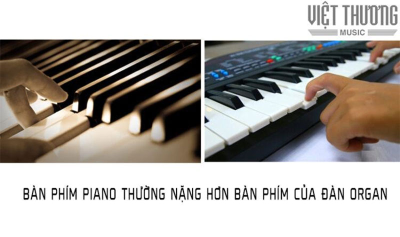 SỰ KHÁC NHAU GIỮA ĐÀN PIANO VÀ ORGAN